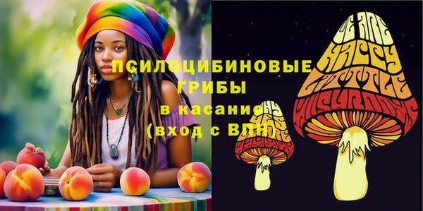 2c-b Пересвет
