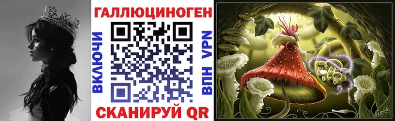 Псилоцибиновые грибы Psilocybe  закладки  Приморско-Ахтарск 